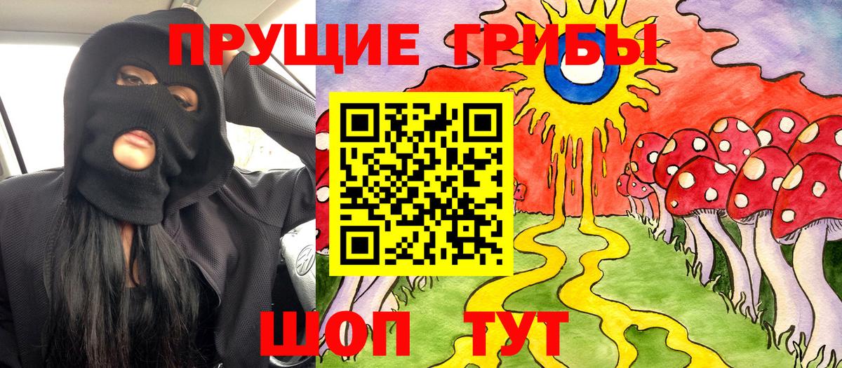 Галлюциногенные грибы GOLDEN TEACHER Зеленогорск