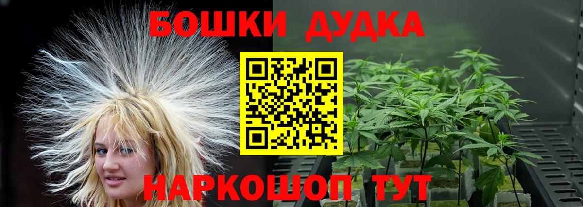 Зеленогорск  Шишки марихуана сатива  Вход с VPN  Бошки марихуана White Widow 